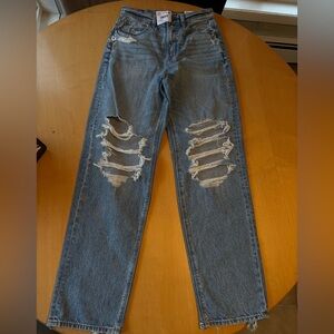 American Eagle Strigid Jeans